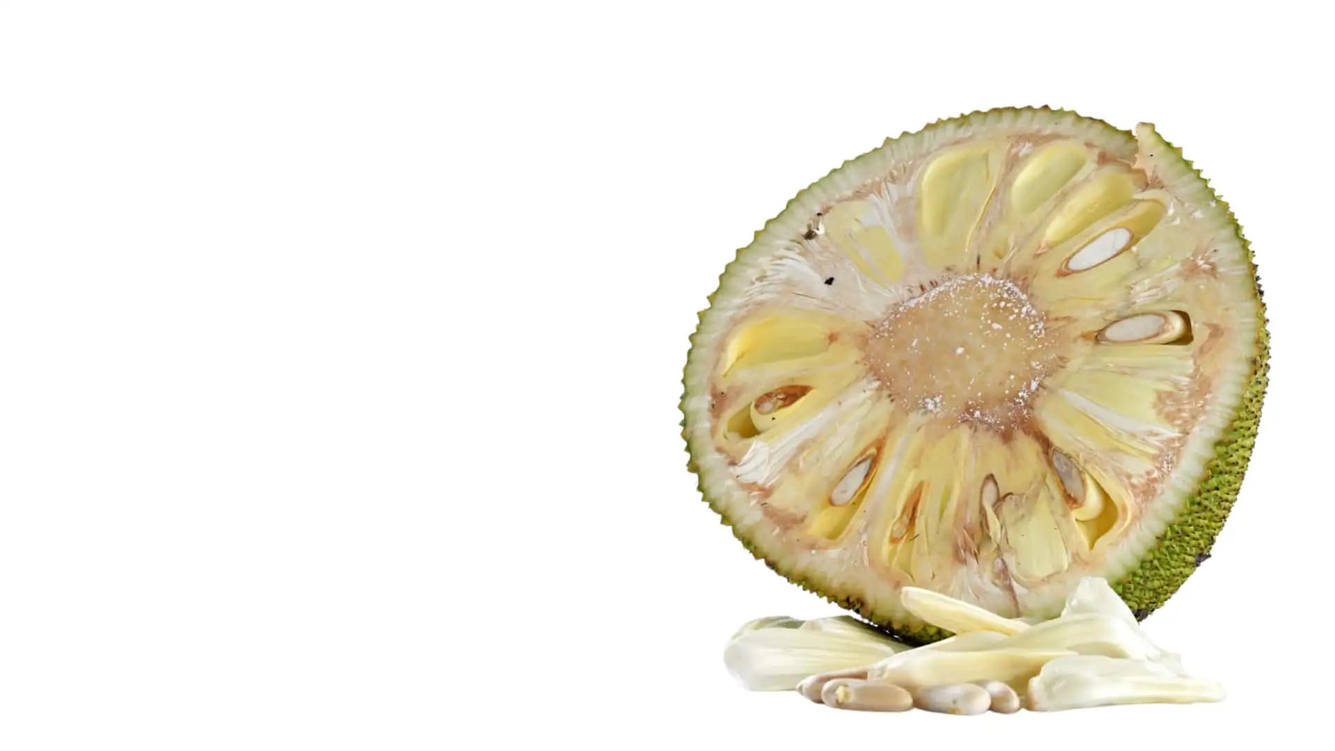 Background image of tea leaves and flowers